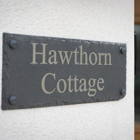 Hawthorn Cottage Tenby Ngoại thất bức ảnh