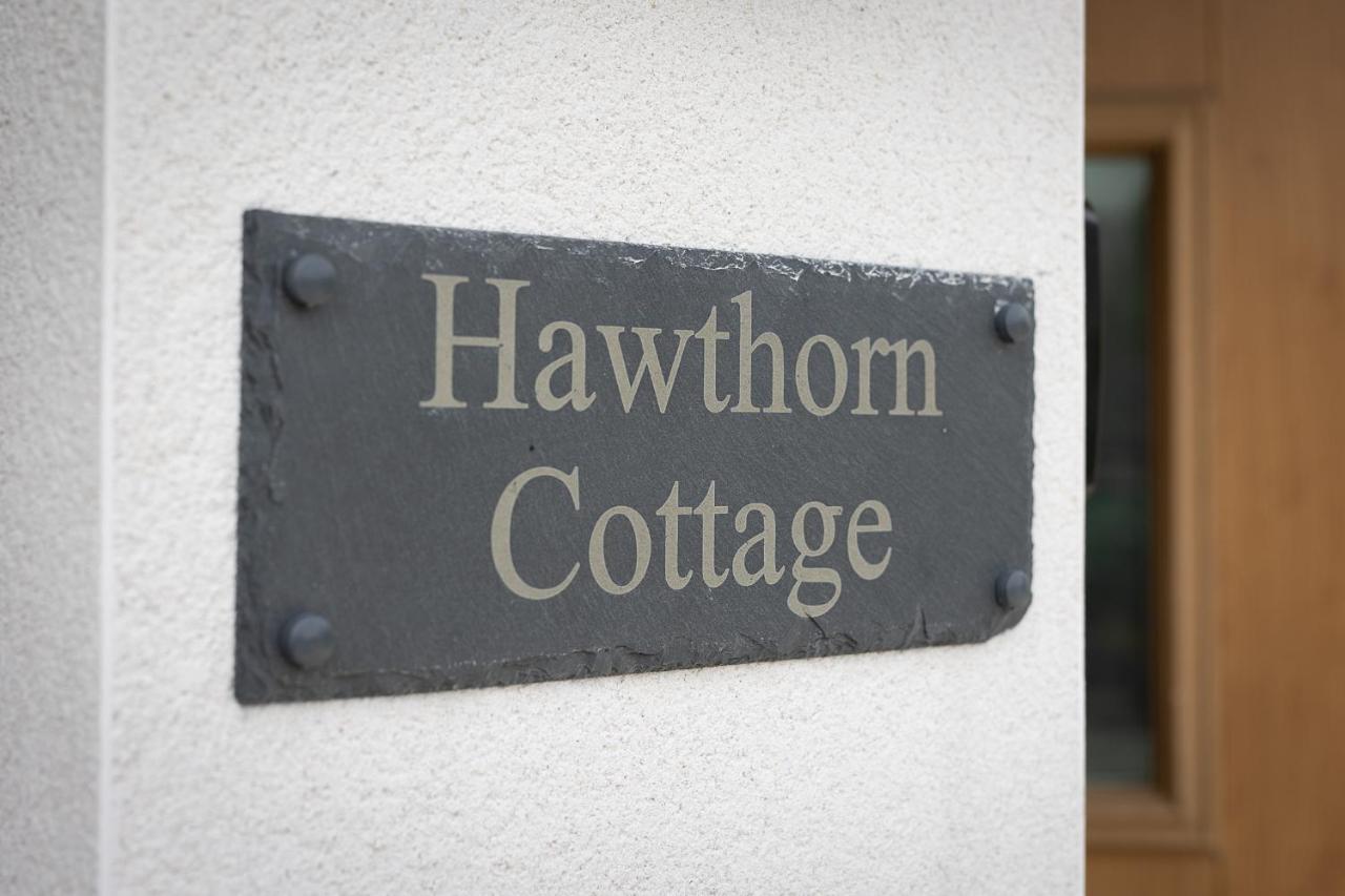 Hawthorn Cottage Tenby Ngoại thất bức ảnh
